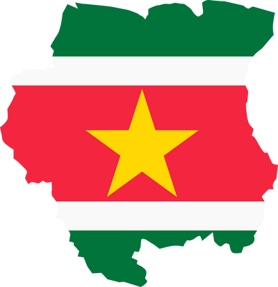 Suriname map city vector style color of country flag.